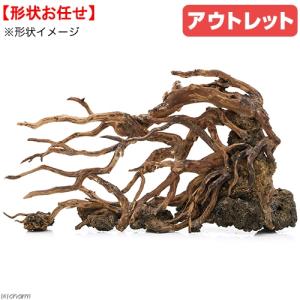 □アウトレット品 カミハタ ダイナミック スケープ ウッド 形状おまかせ 流木 55×25×31cm 沖縄別途送料