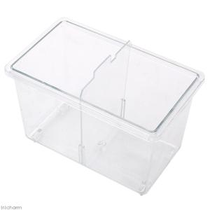 アウトレット品 フタのみ(本体無し) 飼育容器...の詳細画像1