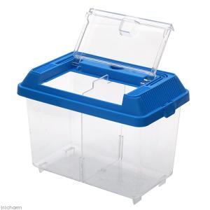 アウトレット品 フタのみ(本体無し) 飼育容器...の詳細画像2