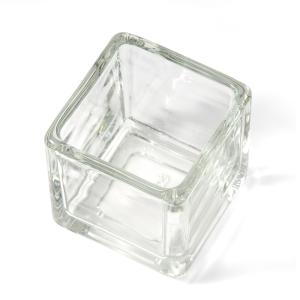 ニューブロックグラス S エアプランツ 多肉植...の詳細画像2