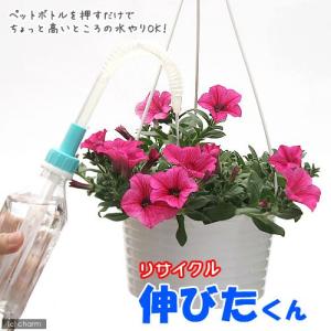 アウトレット品　リサイクルシリーズ　伸びたくん　訳あり｜chanet