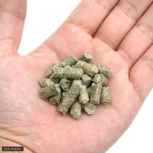 マルカン 天然消臭トイレ砂 7L 小動物用 お...の詳細画像1