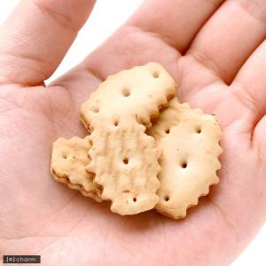 マルカン ぱくっとキャロット 65g 小動物 ...の詳細画像2