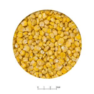 スドー サクサク王国 コーン 20g ウサギ ...の詳細画像1