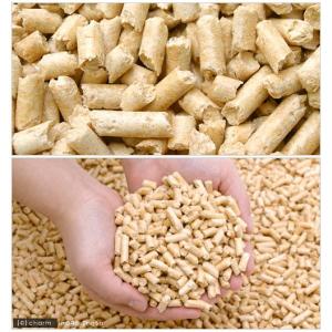 パインの木の上で 6リットル パインウッド う...の詳細画像1