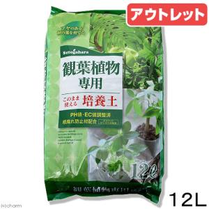 アウトレット品　瀬戸ヶ原花苑　観葉植物専用培養土　１２Ｌ　ガーデニング　専用土　室内　観葉植物　園芸　訳あり｜chanet