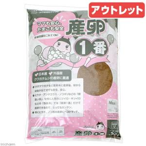 アウトレット品　産卵一番　１０リットル　昆虫マット　クワガタ　産卵用　産卵１番　訳あり｜chanet