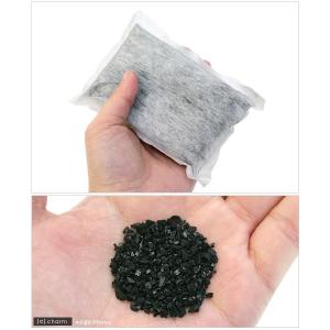 GEX やしがら活性炭 超お徳用10個入 ジェックスの詳細画像1