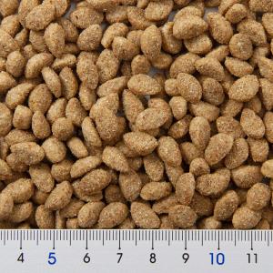 日本ペットフード ハムスターフード ヘルシープ...の詳細画像1