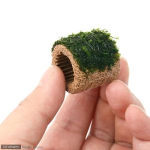 (水草)巻きたて ライフマルチ(茶)ウィローモ...の詳細画像1