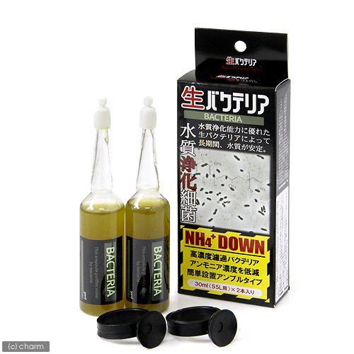 日本動物薬品　ニチドウ　生バクテリア　アンプルタイプ　３０ｍＬ（５５Ｌ用）×２本入　バクテリア　熱帯...