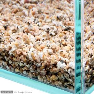 GEX 麦飯石の砂利 2.5kgの詳細画像1