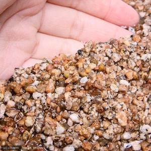 GEX 麦飯石の砂利 2.5kgの詳細画像2