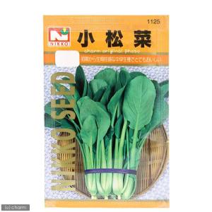野菜の種　小松菜　品番：１１２５　家庭菜園｜chanet