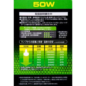 GEX エキゾテラ 昼用集光型 サングロー バ...の詳細画像2