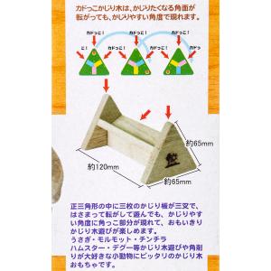 三晃商会 カドッこかじり木の詳細画像2