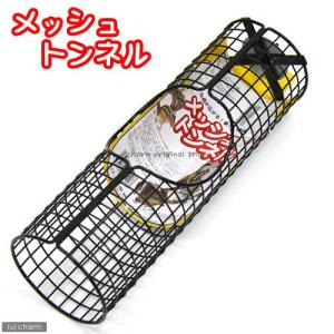 飼育セット フクロモモンガ飼育セット イージーホーム クリアー