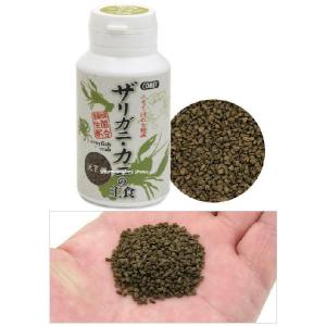 コメット ザリガニ・カニの主食 沈下性 40g...の詳細画像1