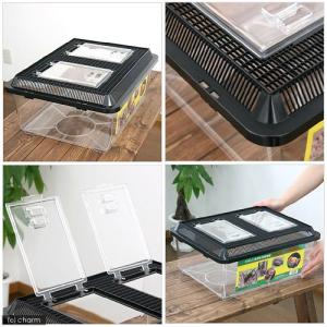 プラケース 飼育容器 特大フラット 黒(430...の詳細画像1