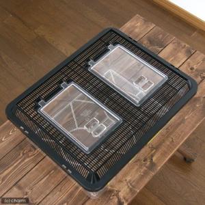 プラケース 飼育容器 特大フラット 黒(430...の詳細画像2