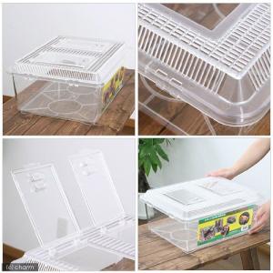 プラケース 飼育容器 特大フラット クリア(4...の詳細画像1