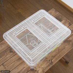 プラケース 飼育容器 特大フラット クリア(4...の詳細画像2