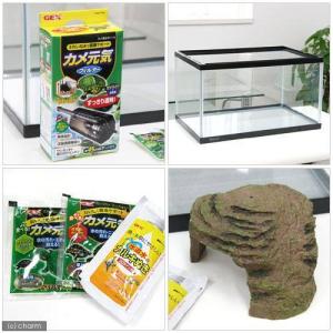 GEX カメの楽園 450 カメ元気 カメ飼育...の詳細画像1