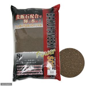 ジュン JUN プラチナソイル ブラウン スーパーパウダー 1L