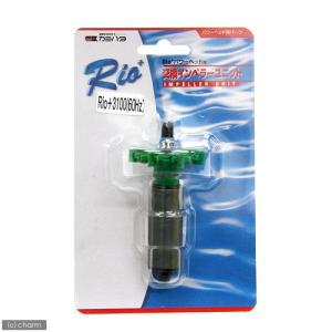 カミハタ Rio+3100 60Hz リオプラス 水中ポンプ 送料無料 管理60