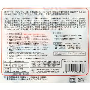 三晃商会 高タンパク・アミノゼリー 16g×10個の詳細画像2