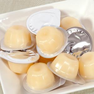 三晃商会 高タンパク・アミノゼリー 16g×10個の詳細画像3