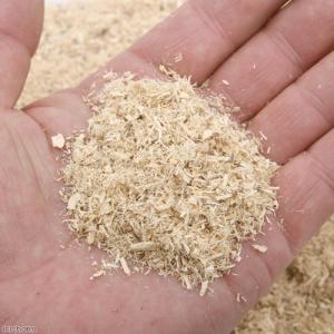 昆虫マット B6 こなごなマット 10L 産卵...の詳細画像1