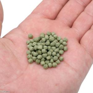 コメット カメのごはん 納豆菌配合 150g ...の詳細画像1