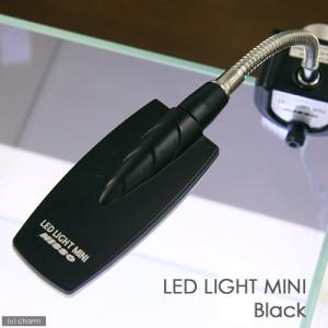 アウトレット品　ニッソー　ＬＥＤライトミニ　ブラック　小型水槽用照明　熱帯魚　水草　アクアリウムライト　訳あり　関東当日便