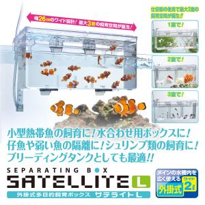 スドー 外掛式産卵飼育ボックス サテライトLの詳細画像2