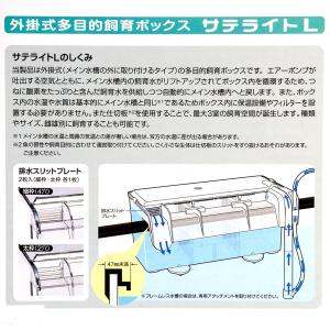 スドー 外掛式産卵飼育ボックス サテライトLの詳細画像3