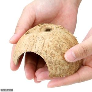 マルカン ココナッツハウス オカヤドカリ ハウ...の詳細画像1