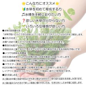 (水草)メダカ 初心者 置くだけ簡単 ライフマ...の詳細画像2