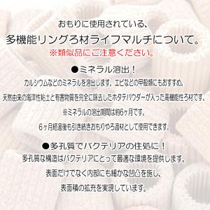 (水草)メダカ 初心者 置くだけ簡単 ライフマ...の詳細画像3