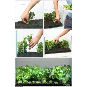 (水草)おまけ付き!置くだけ簡単 ライフマルチ...の詳細画像3