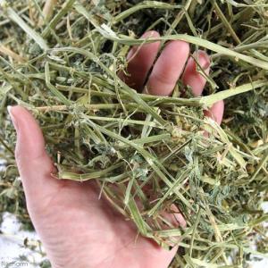 オリミツ セレクトアルファルファ 500g う...の詳細画像1