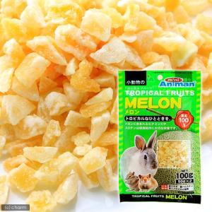 トロピカルフルーツ　メロン　１００ｇ【関東当日便】
