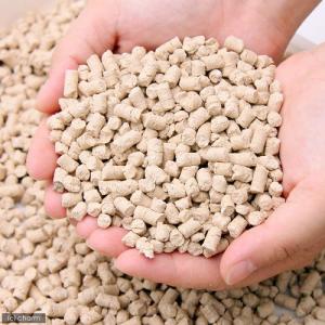 小動物用トイレ砂 流せる木製トイレ砂 9L ト...の詳細画像1