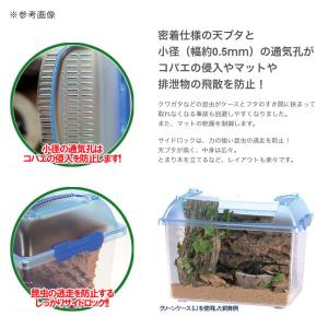 三晃商会 CLEAN CASE クリーンケース...の詳細画像2
