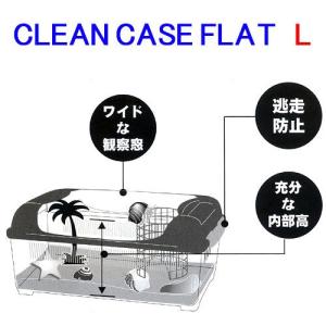 三晃商会 CLEAN CASE FLAT クリ...の詳細画像2