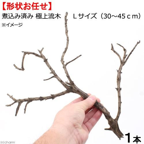 形状お任せ　煮込み済み　極上流木　Ｌサイズ（約３０〜４５ｃｍ）　１本　アクアリウム　テラリウム　レイ...