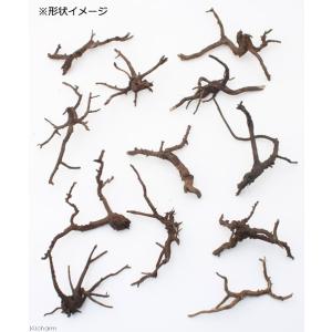 形状お任せ 煮込み済み 極上流木 Sサイズ(約...の詳細画像2