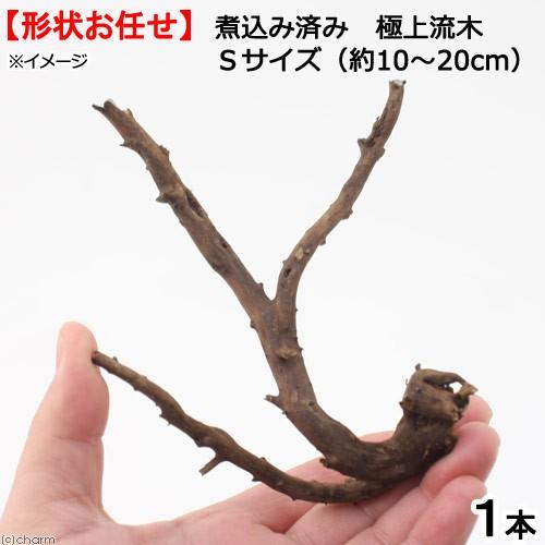 形状お任せ　煮込み済み　極上流木　Ｓサイズ（約１０〜２０ｃｍ）　１本　アクアリウム　テラリウム　レイ...