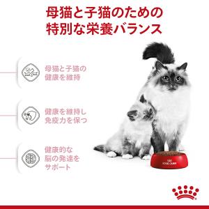 ロイヤルカナン 子猫 マザー&ベビーキャット ...の詳細画像3