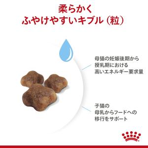 ロイヤルカナン 子猫 マザー&ベビーキャット ...の詳細画像4